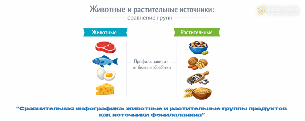 Сравнительная инфографика- животные и растительные группы продуктов как источники фенилаланина.png