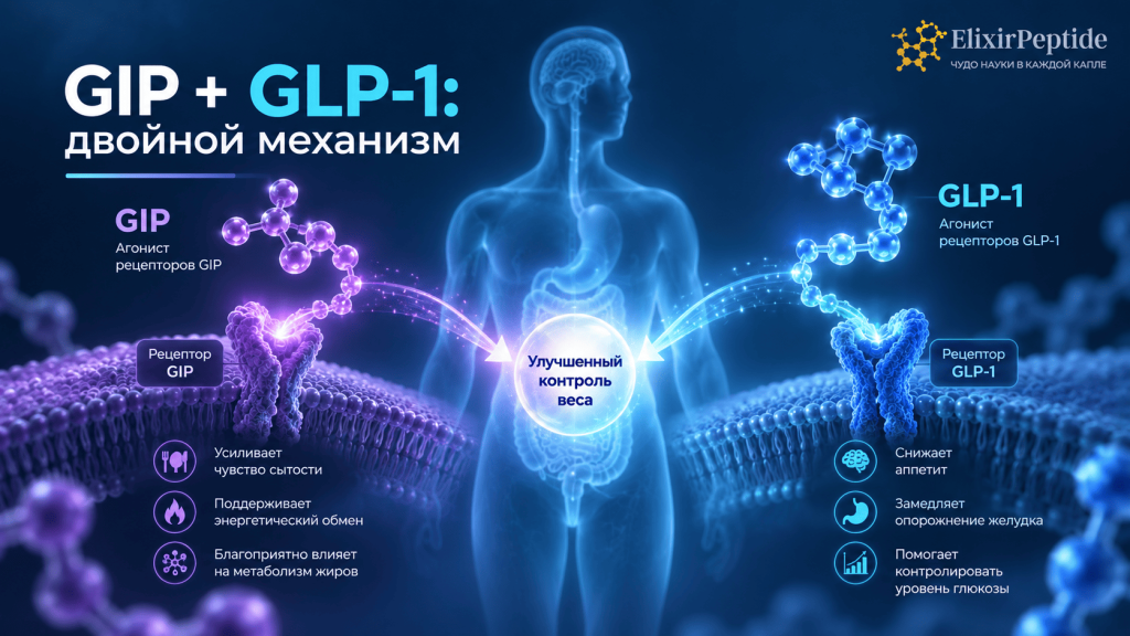 Агонист рецепторов GIP и GLP-1.png