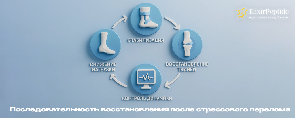 последовательность восстановления после стрессового перелома.png