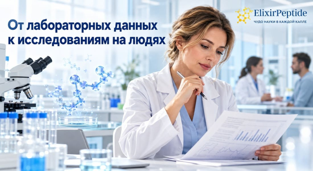 nauchnye-issledovaniya-bioaktivnykh-peptidov.jpg