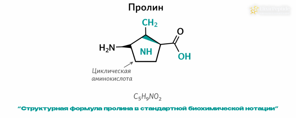 Структурная формула пролина в стандартной биохимической нотации.png