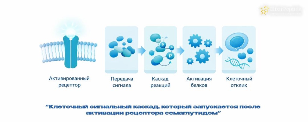 photo_2026-02-04_15-17-50 (2).jpg