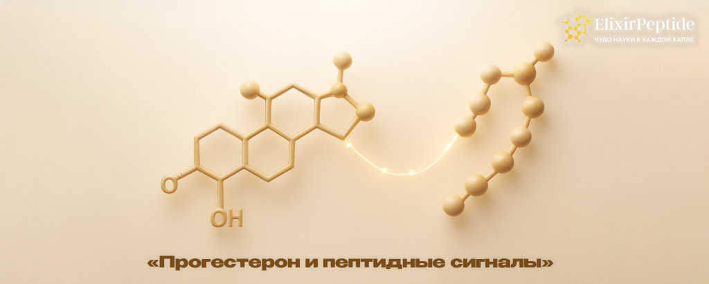 Прогестерон и пептидные сигналы.png