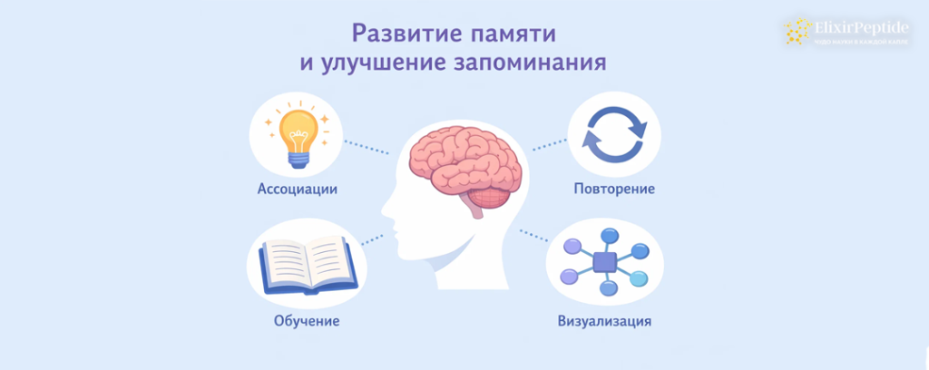 Развитие памяти и улучшение запоминания.png