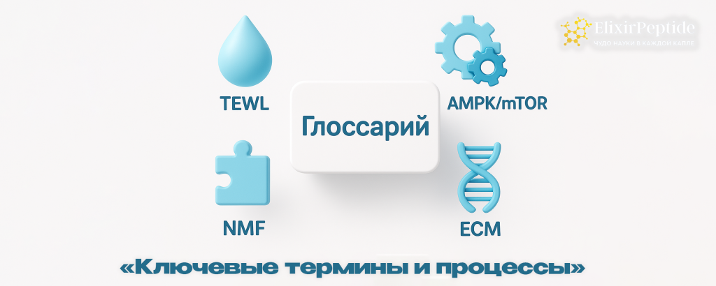 Ключевые термины и процессы.png