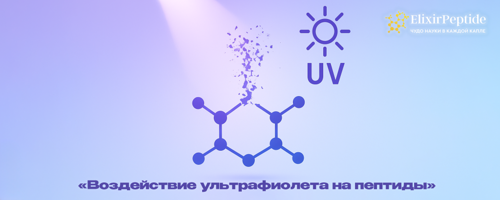 «Воздействие ультрафиолета на пептиды».png
