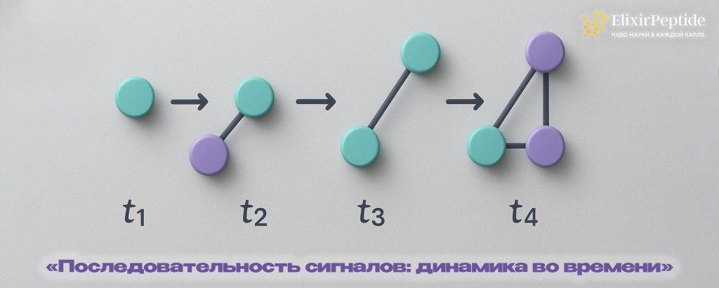 Последовательность сигналов- динамика во времени.png