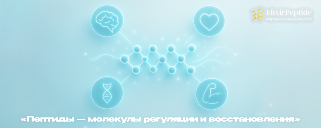 Пептиды молекулы регуляции и восстановления.png