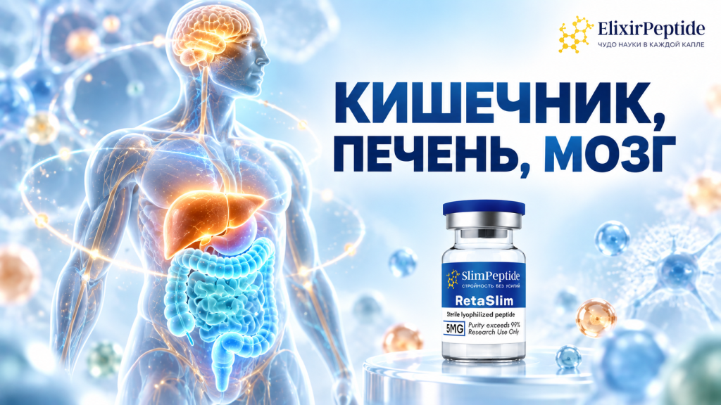 Кишечник печень и мозг_ биоэликсир будущего.png