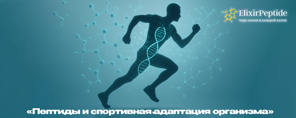 Пептиды и спортивная адаптация организма .png