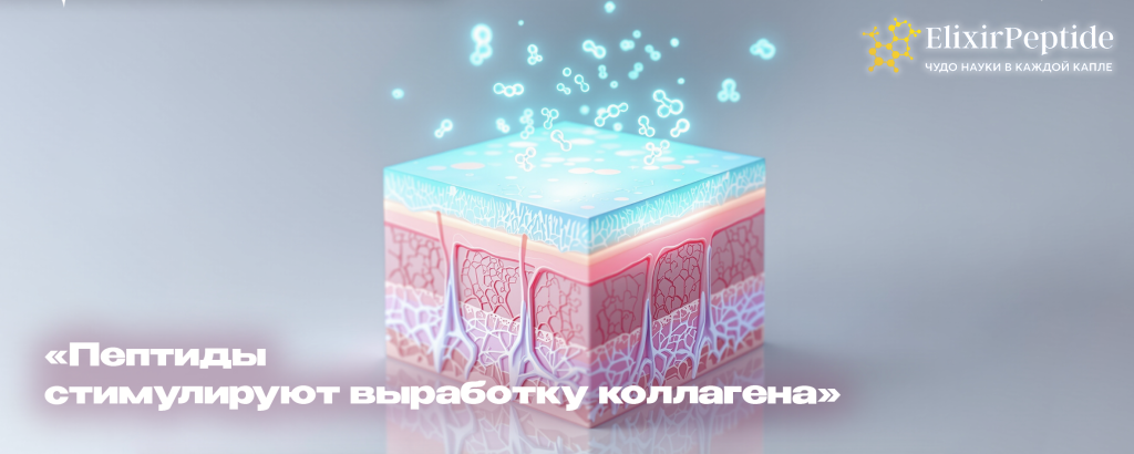 Пептиды стимулируют выработку коллагена.png