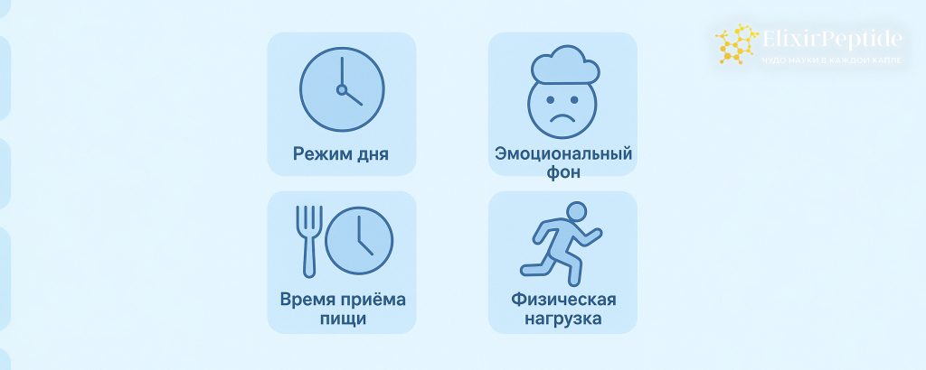 Графическое отображение факторов влияния на пищеварение 