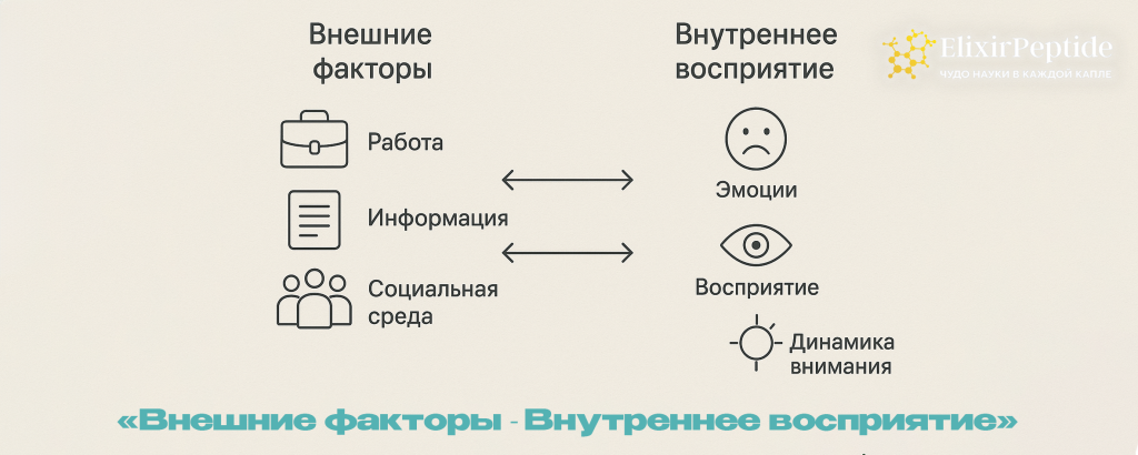 - Внешние факторы Внутреннее восприятие.png