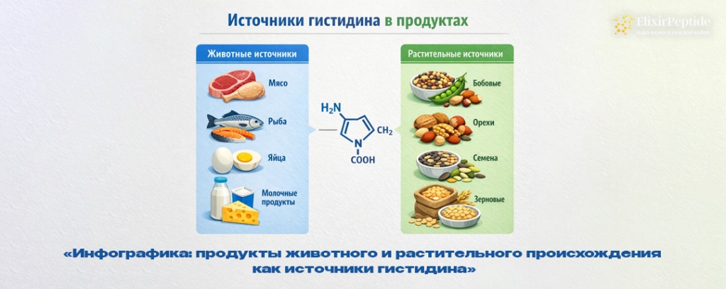 Инфографика- продукты животного и растительного происхождения как источники гистидина .jpg