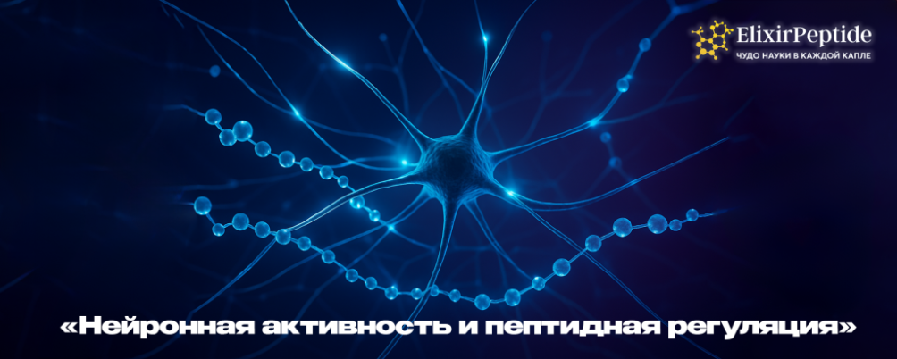 Как повысить мозговую активность и улучшить работу мозга