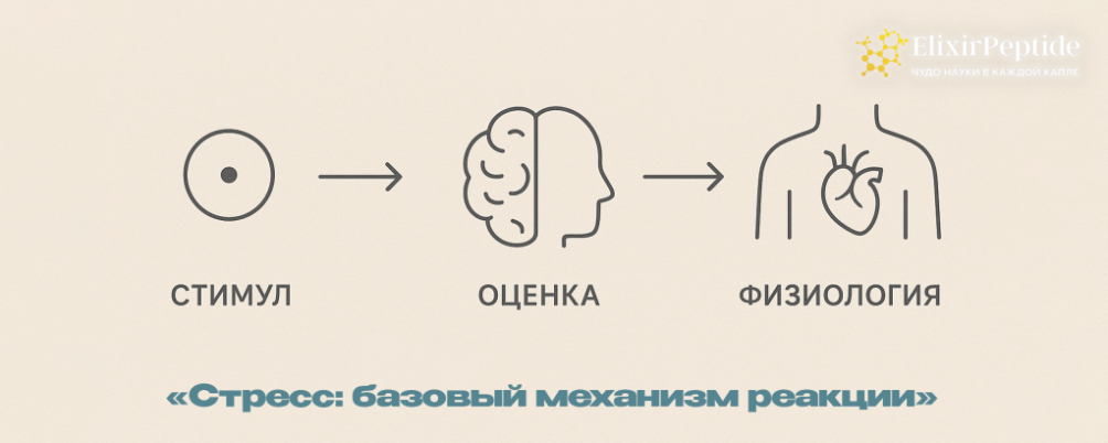 Как бороться со стрессом