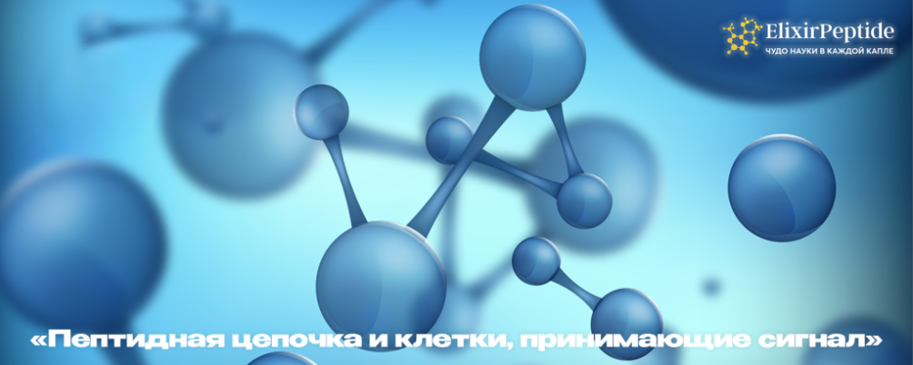 Что такое пептиды