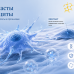 Фибробласты и фиброциты — отличия, функции и роль в организме