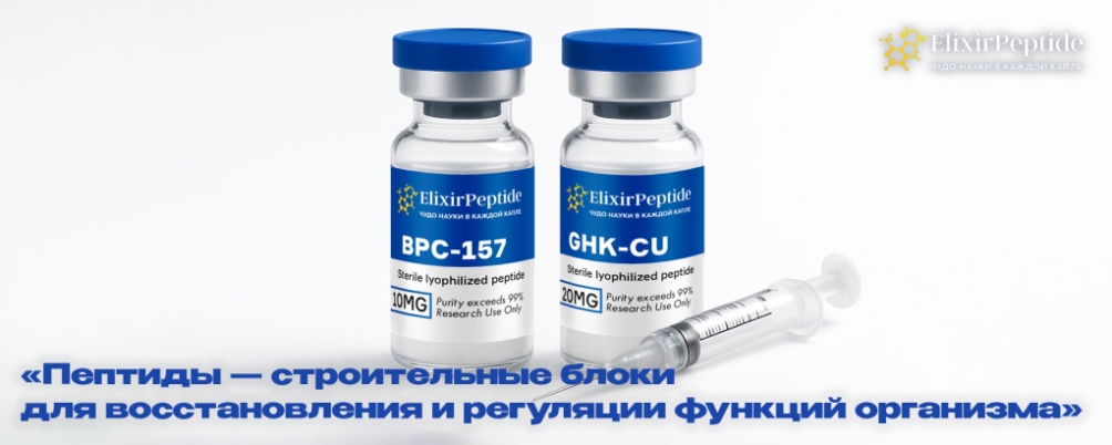 Пептиды польза и вред для организма человека