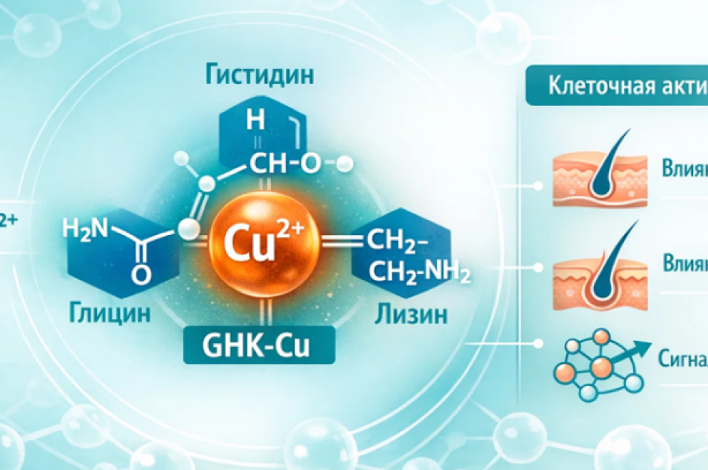 Трипептид меди: что это такое и какую роль он играет в организме