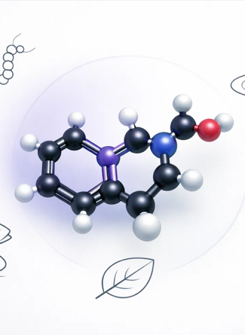 Пищевые источники триптофана: где искать важную аминокислоту