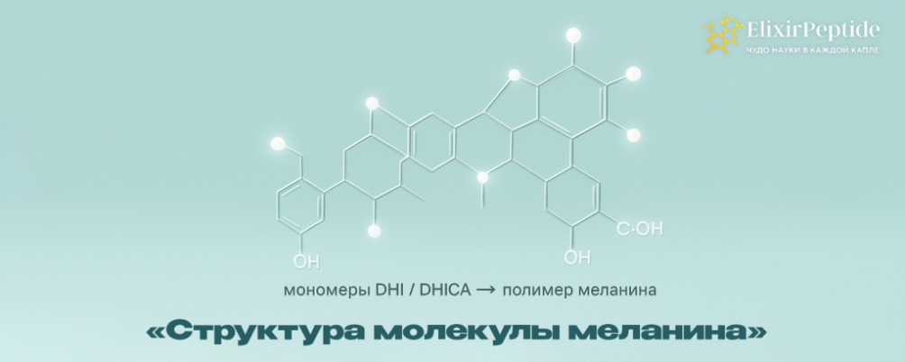 Меланин: что это такое простыми словами и зачем он нужен