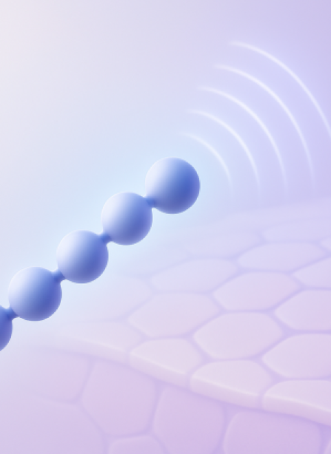 Сигнальные пептиды — что это такое