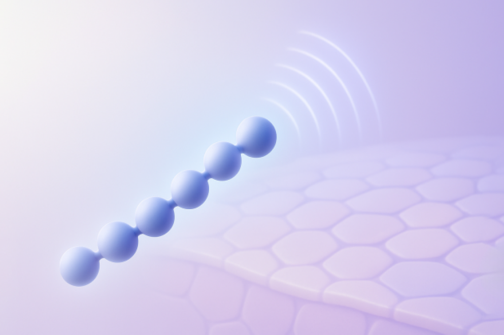 Сигнальные пептиды — что это такое