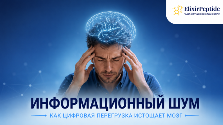 Информационный шум: как цифровая усталость и перегрузка мозга незаметно истощают нас