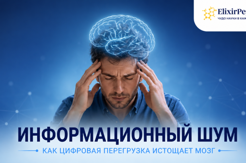 Информационный шум: как цифровая усталость и перегрузка мозга незаметно истощают нас