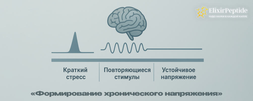 Причины и последствия хронического стресса у человека